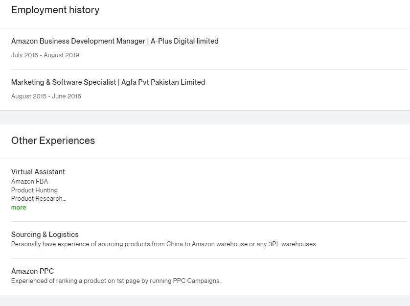 Employment History and Other Expereinces of a Freelancer on His Upwork Profile