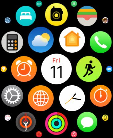 App Screen on Apple Watch