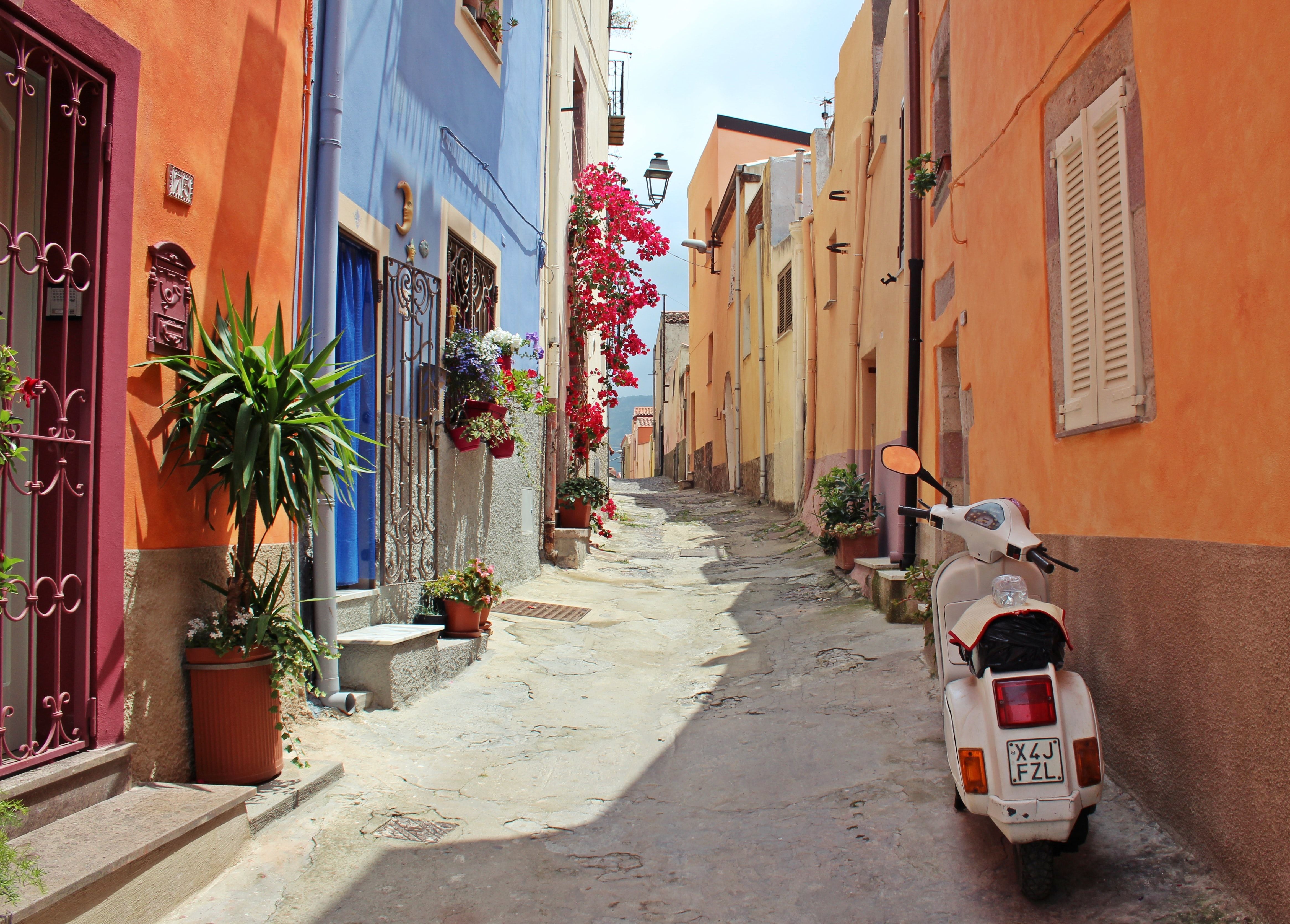 photo of a colorful street 