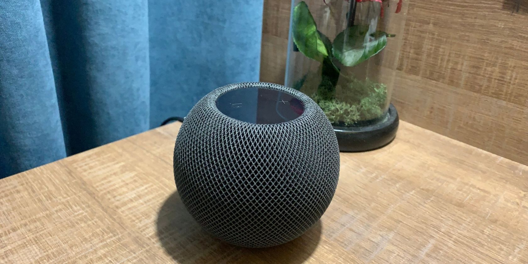 HomePod mini with a flower in the background 