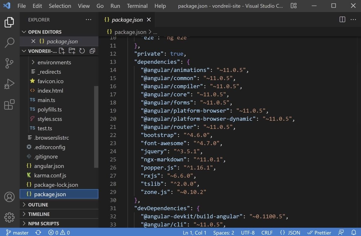 Visual Studio code open with package.json showing Angular modules