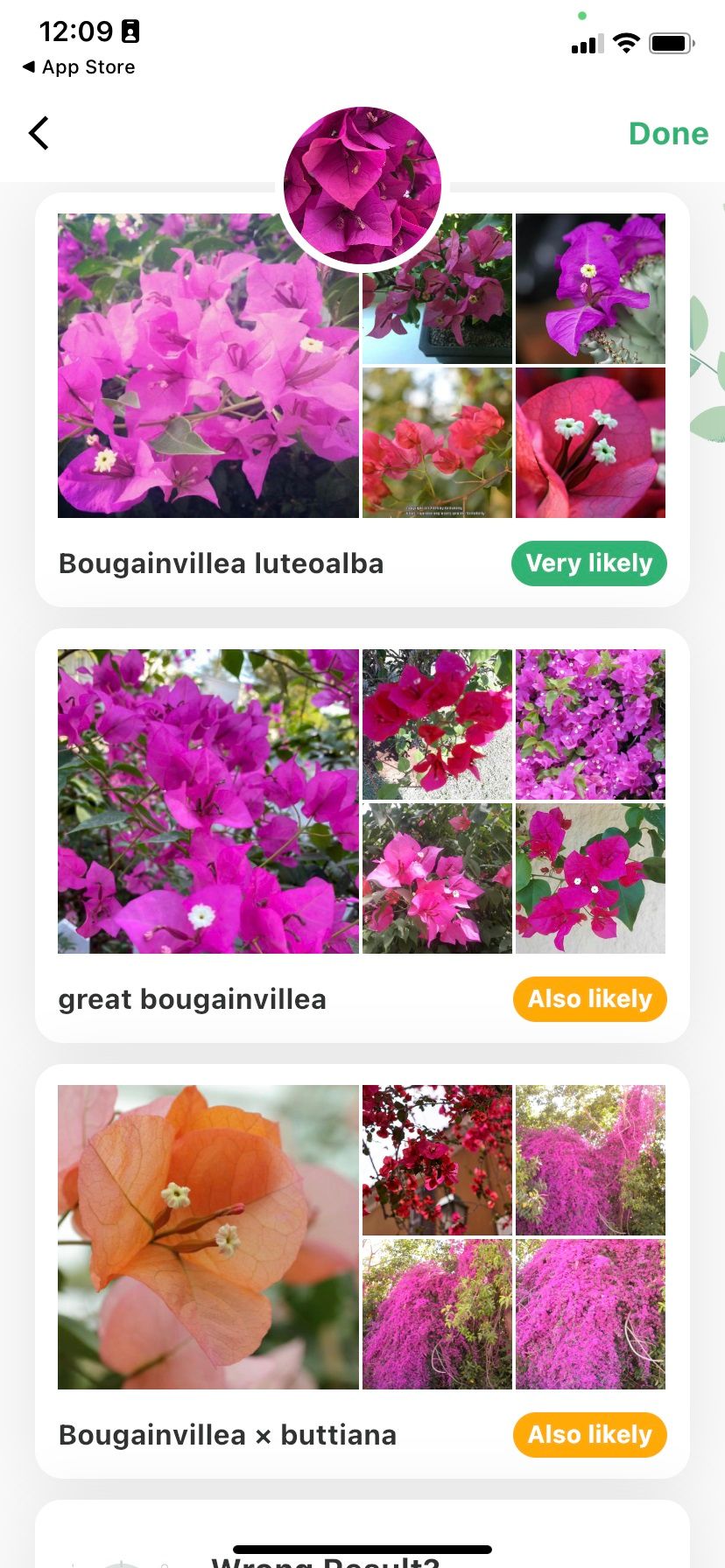 Plant Identification ++ search results page