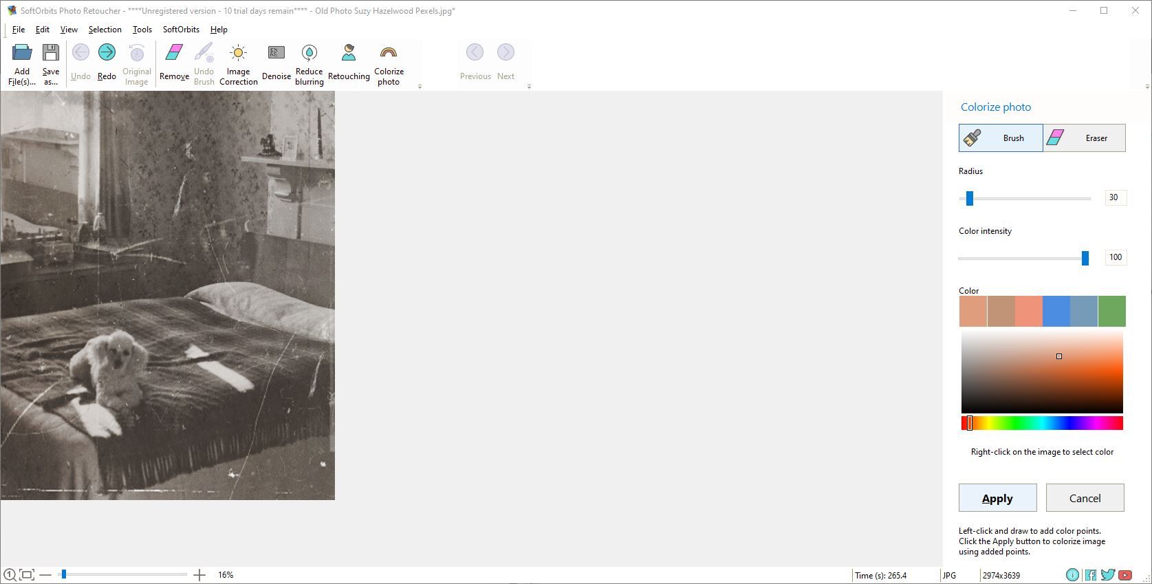 A Screenshot of SoftOrbits Photo Retoucher in Use