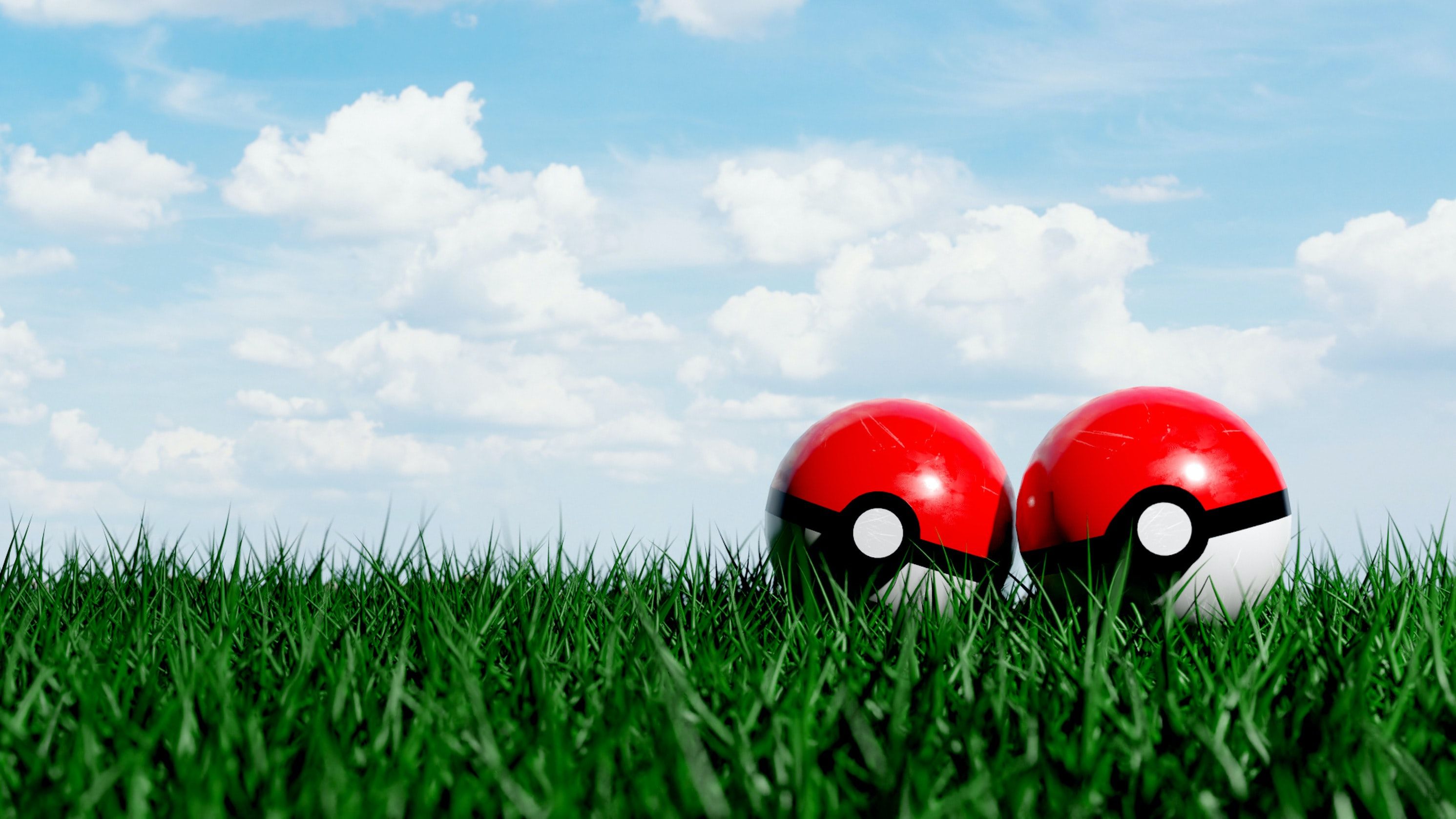 Two Poke Balls on the grass