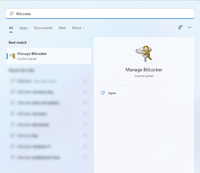 Windows Search BitLocker
