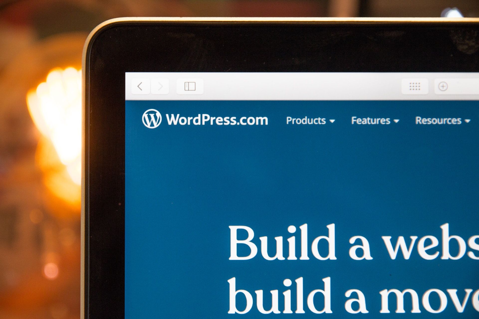 Building WordPress Website