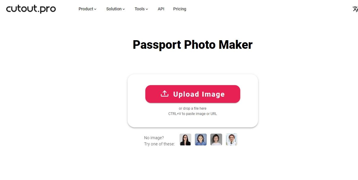 multiple passport size photo maker online