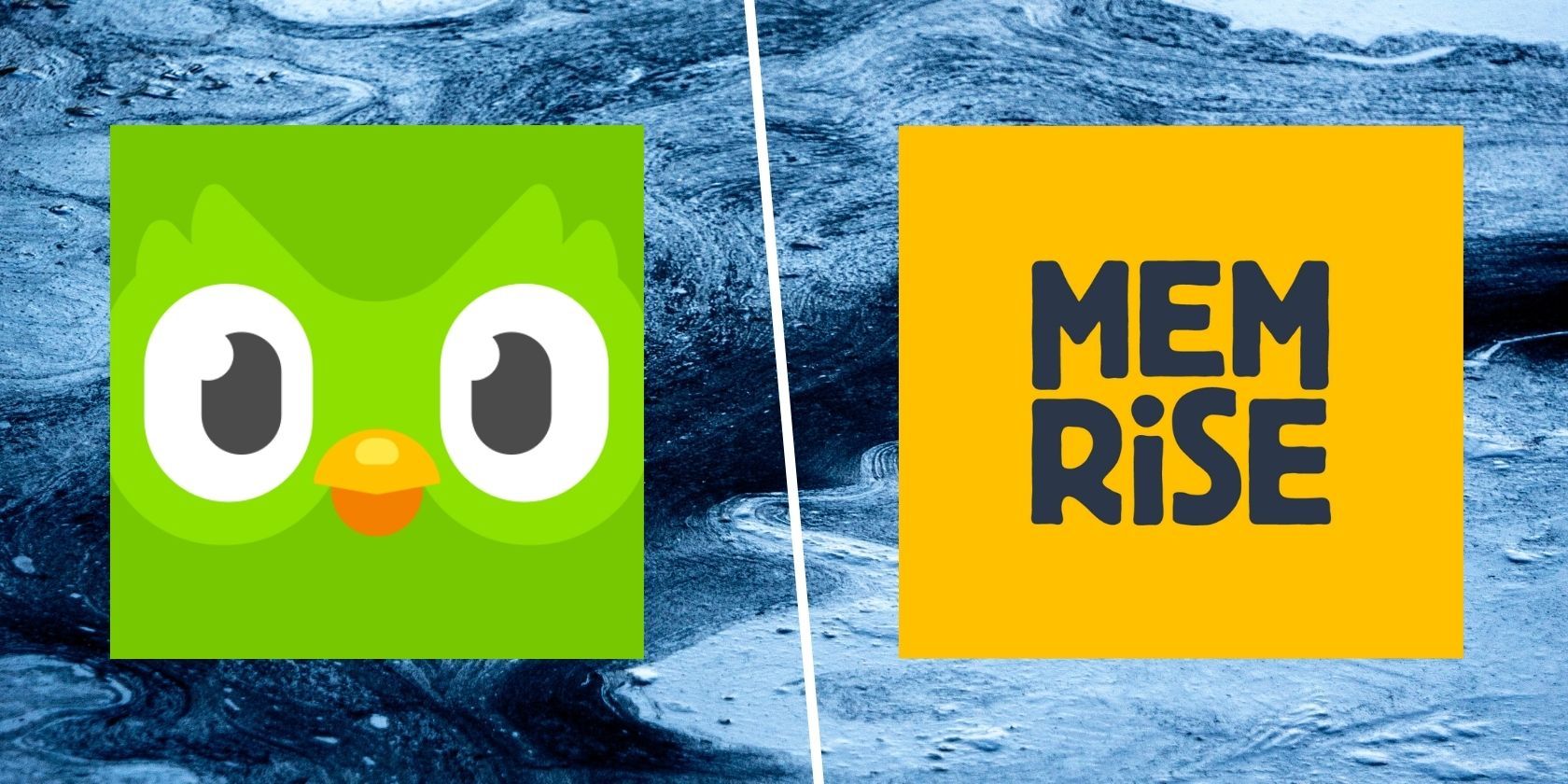 duolingo app logo next to the memrise app logo