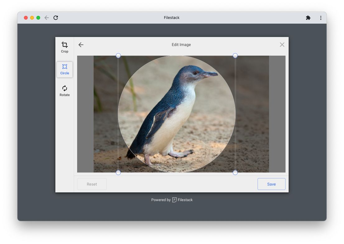 انتخابگر Filestack که تصویر یک پنگوئن را در طرح دایره ای برش می دهد.