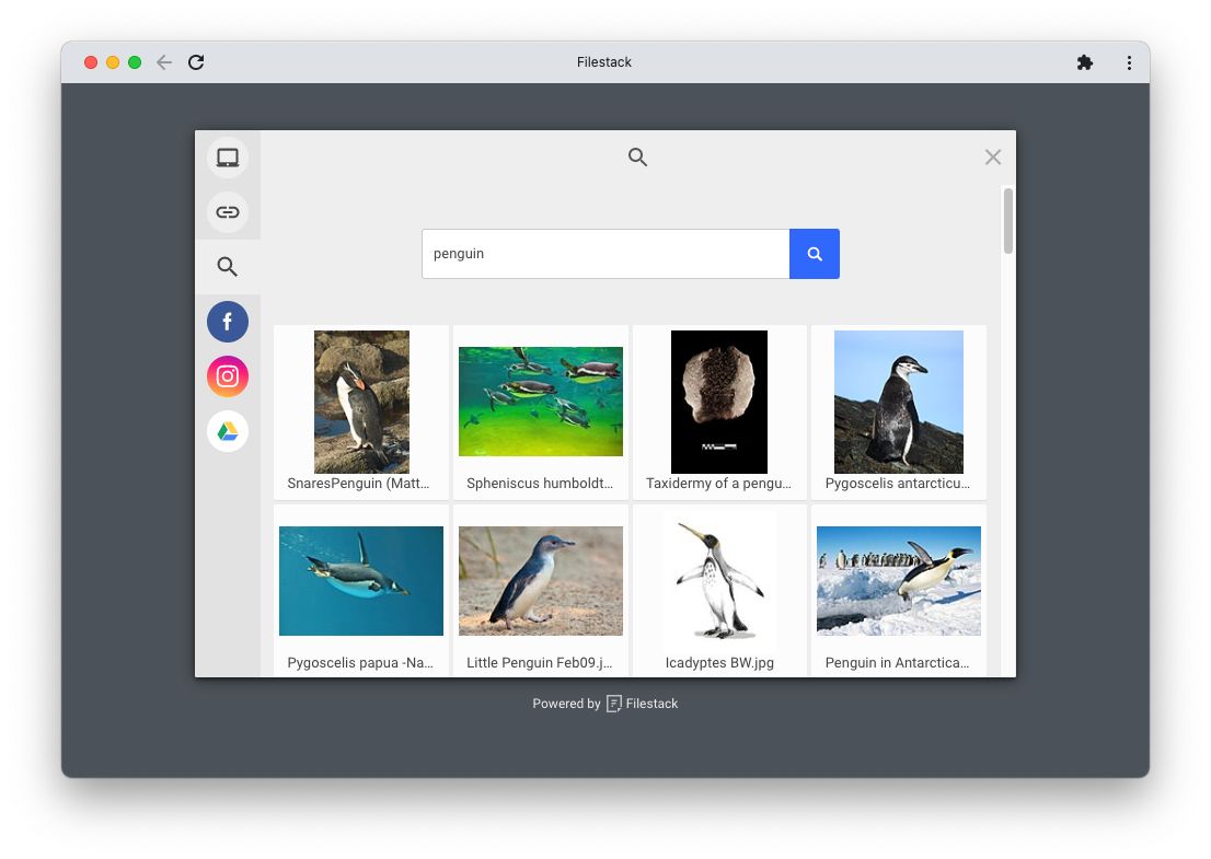 انتخابگر Filestack که نتایج جستجوی تصویر را برای کلمه "پنگوئن" نشان می دهد.