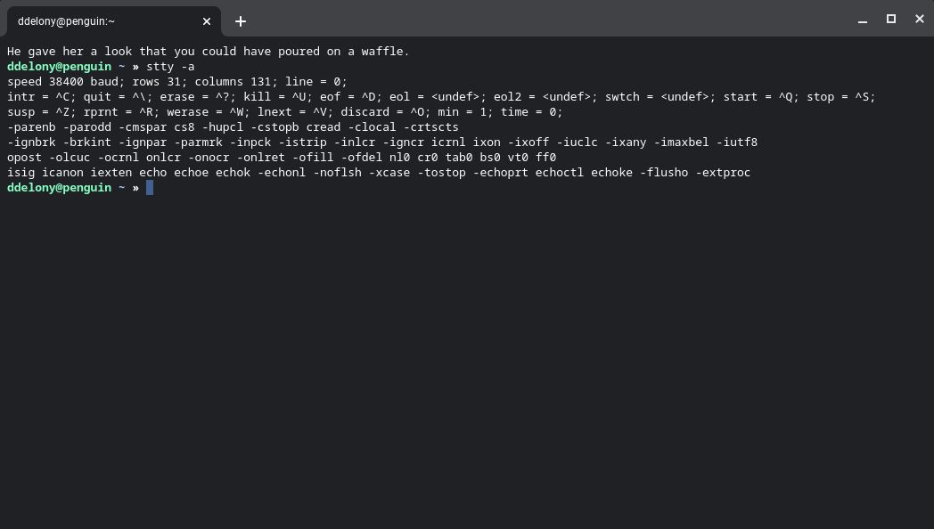 Linux stty -a output in terminal