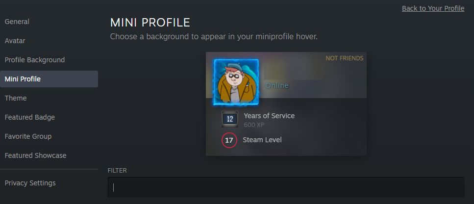 Steam mini profile
