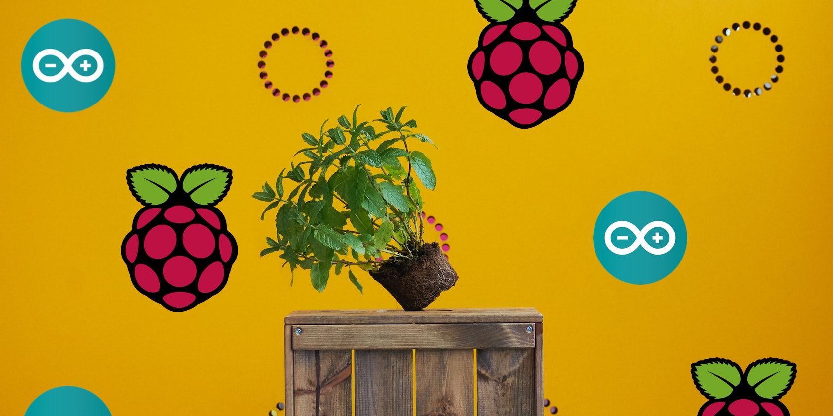 A plant tipping sideways infront of a yallow background with logos for Raspberry Pi and Arduino