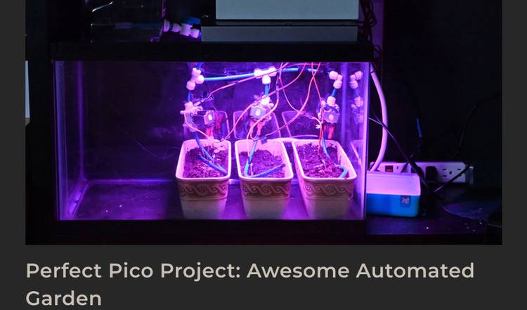 A screenshot showing a photo of three plants inside an old fish tank under flourescent purple lights