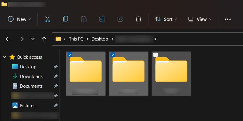 Selecting folder with item check boxes in Windows 11.