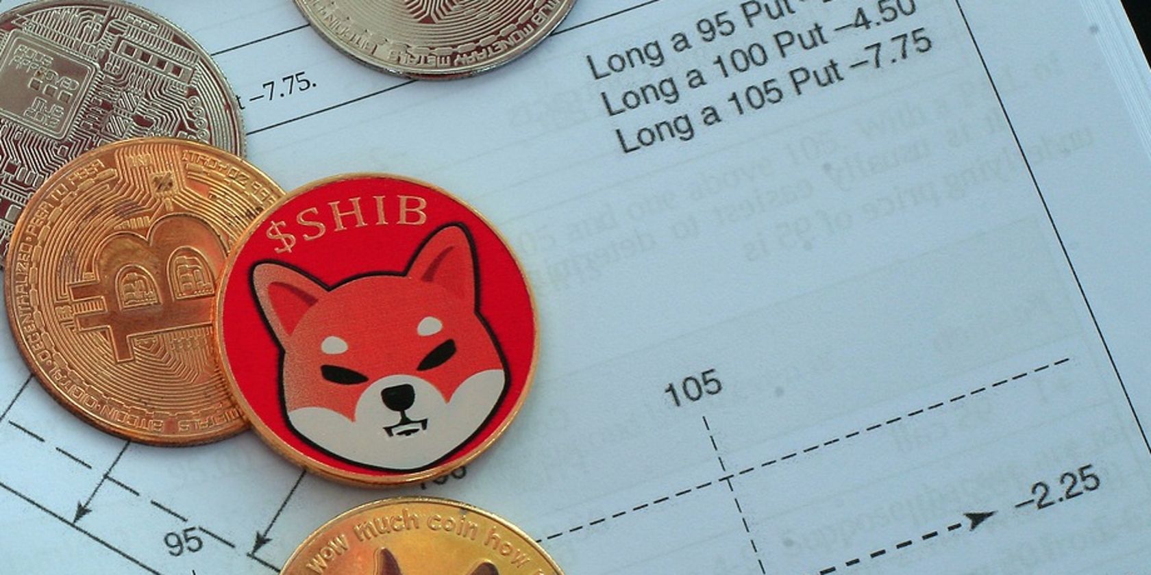 10 Places Where You Can Spend Shiba Inu
