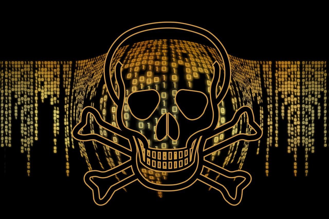 Skull image within a data background