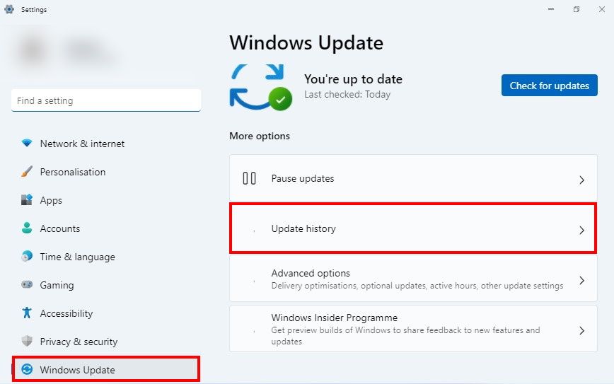 two boxes highlighting Windows Update and Update history