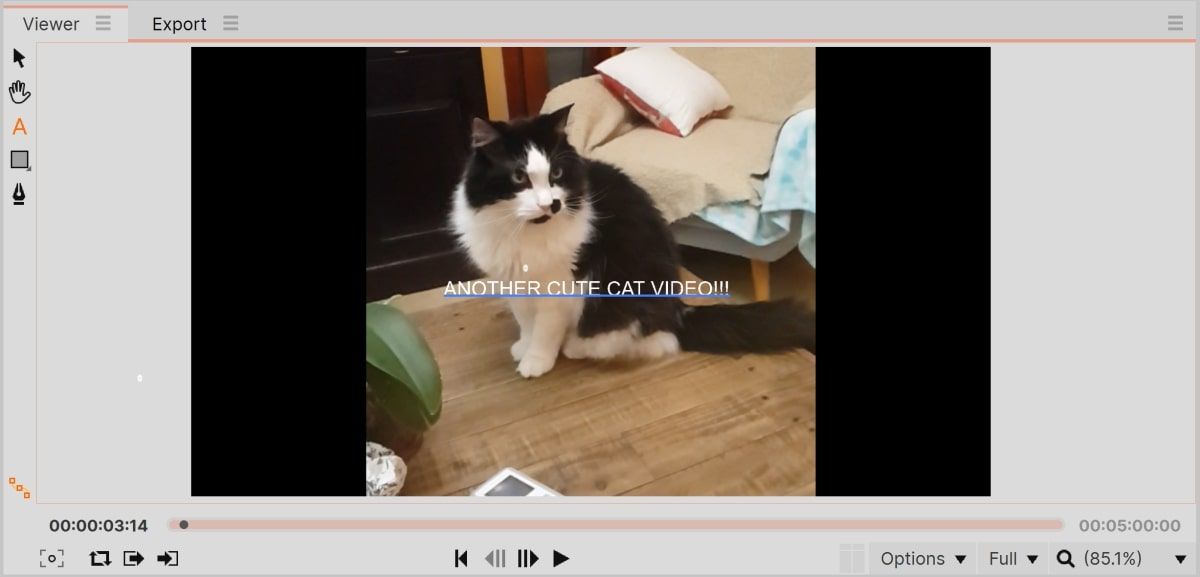 Adding text to video in Viewer tab 