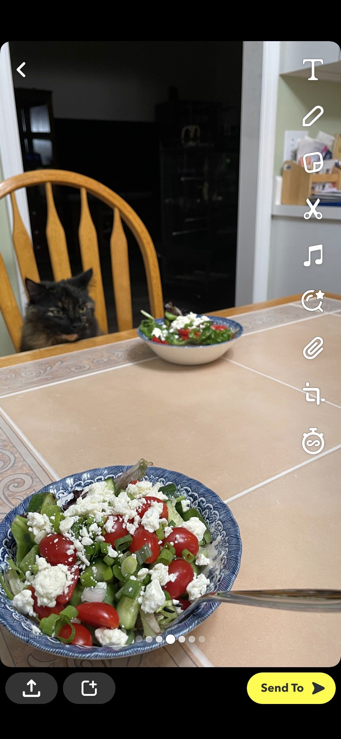 Screenshot of cat sitting at table within Snapchat