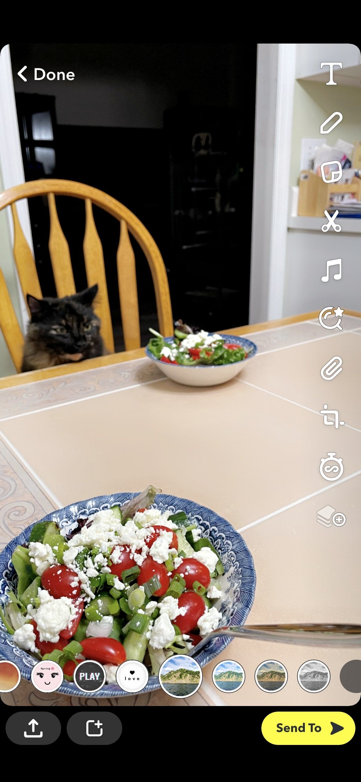 Screenshot of cat sitting at table within Snapchat choosing a filter