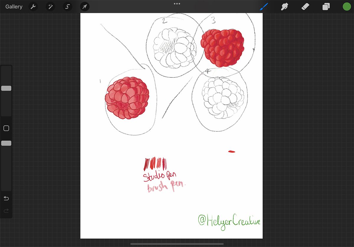 Procreate canvas with white background and illustrations of raspberries. Green logo stamped into bottom right corner.