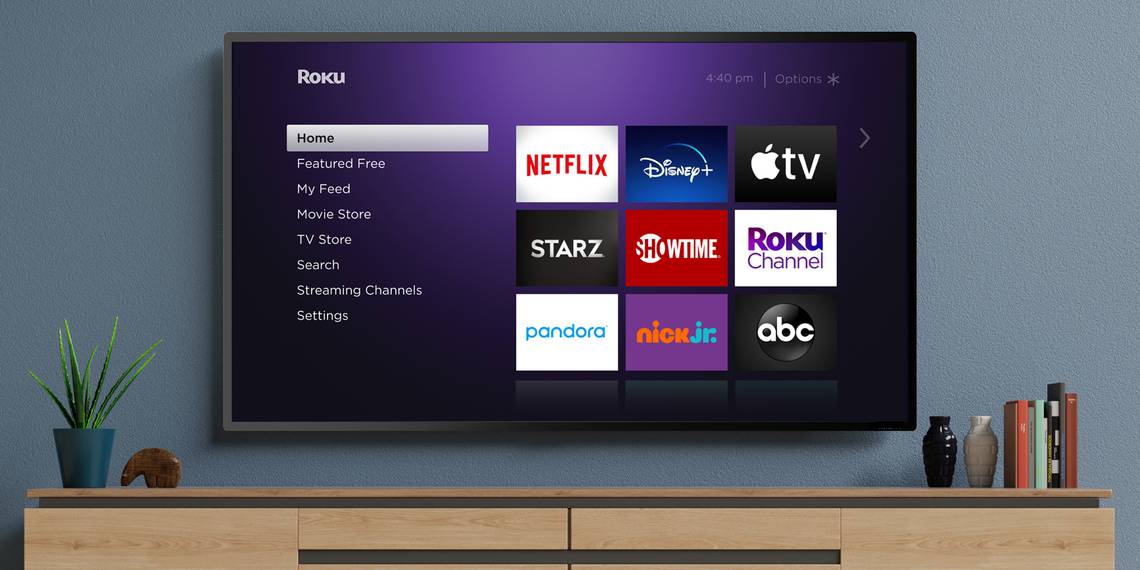 Roku streaming video services
