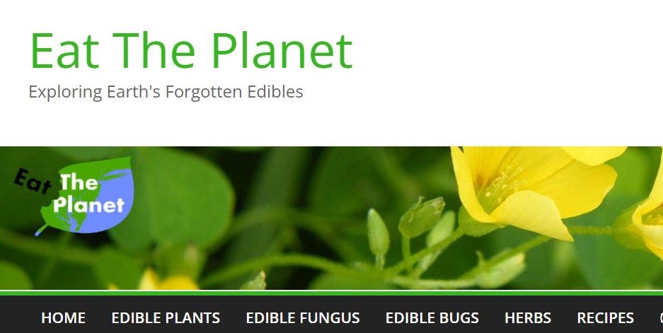 اسکرین شات وب سایت Eat The Planet