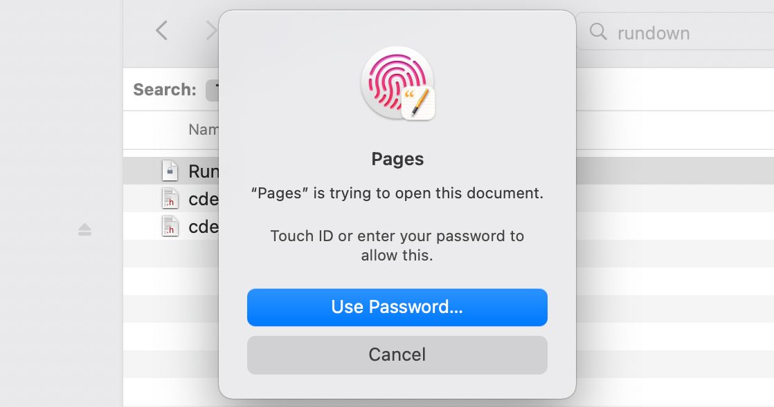 Use Touch ID to Access Document