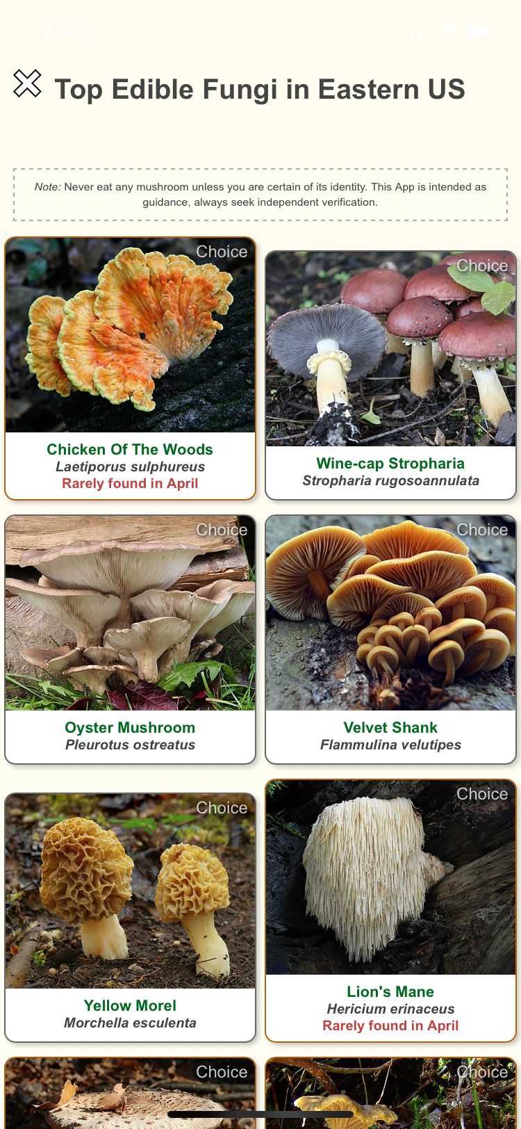 صفحه نمایش قارچ خوراکی برنامه Shroomify