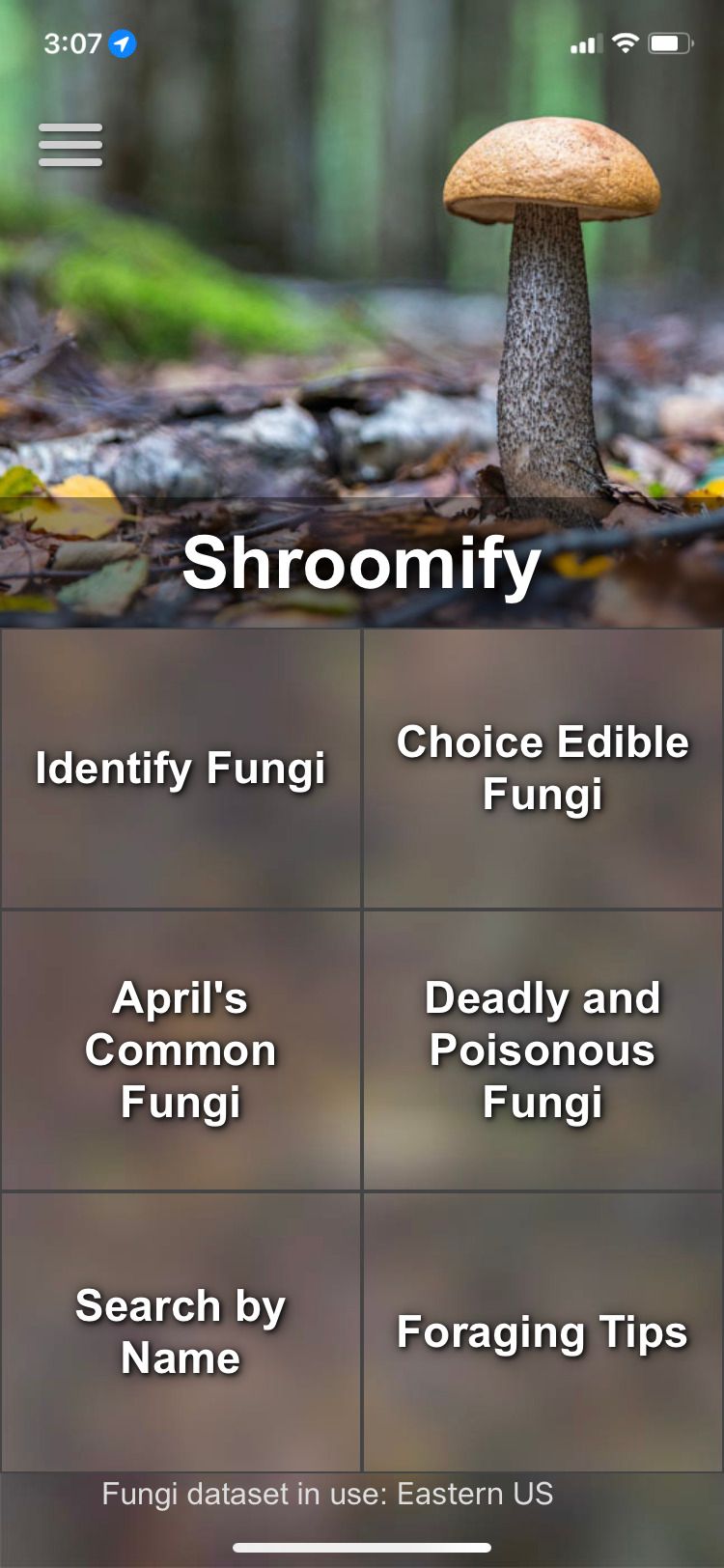 صفحه اصلی برنامه Shroomify