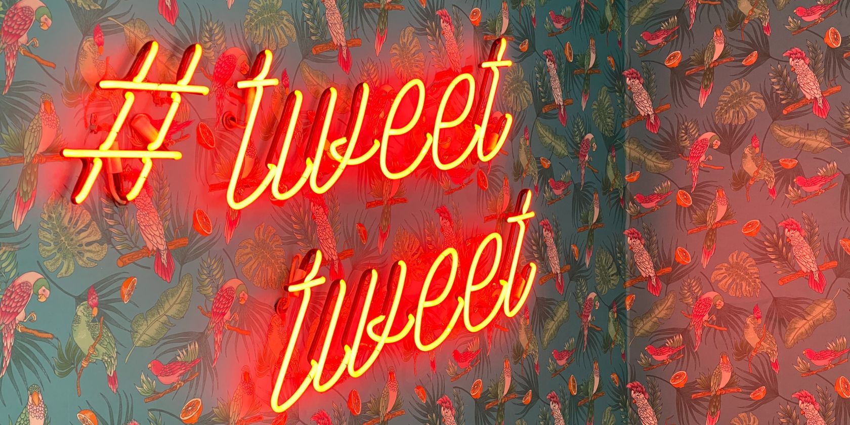 Twitter tweet tweet