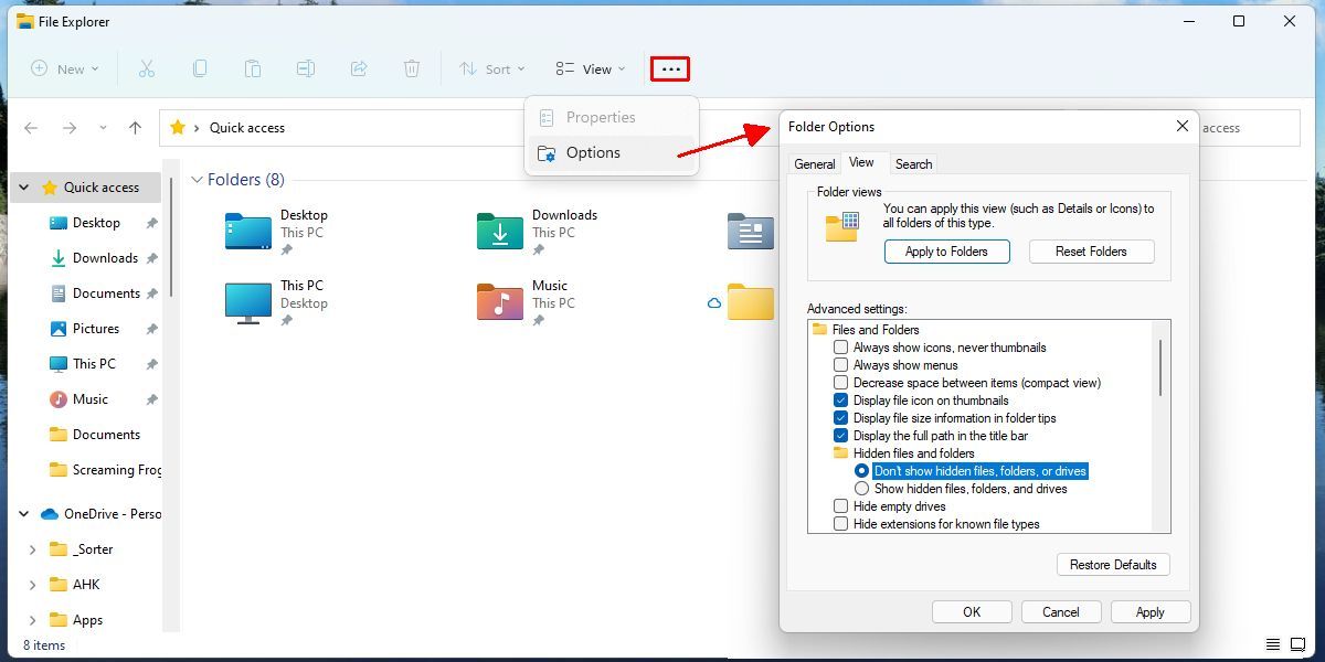 Windows 11 File Explorer Folder Options