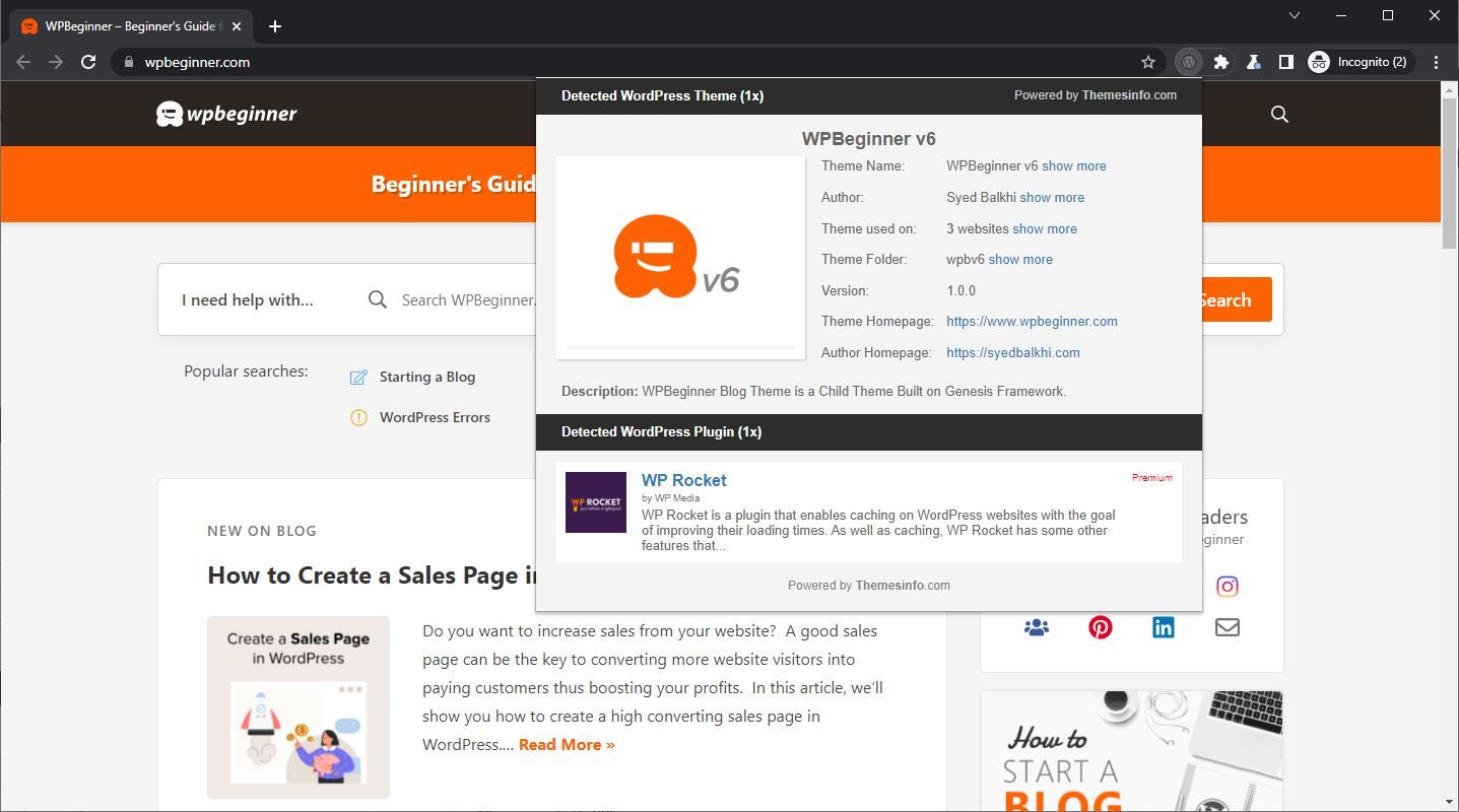 A Screenshot of the WordPress Theme Detector and Plugin Detector Extension in Use