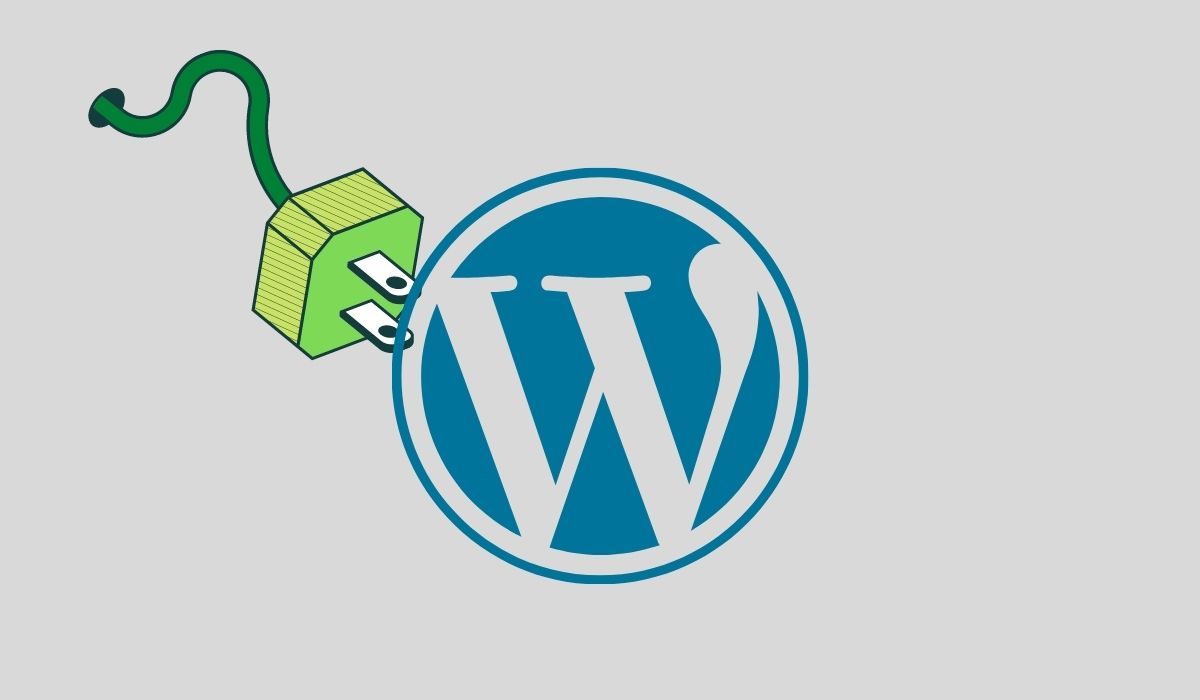 A plug with a cable is seen next to a WordPress logo (graphic)