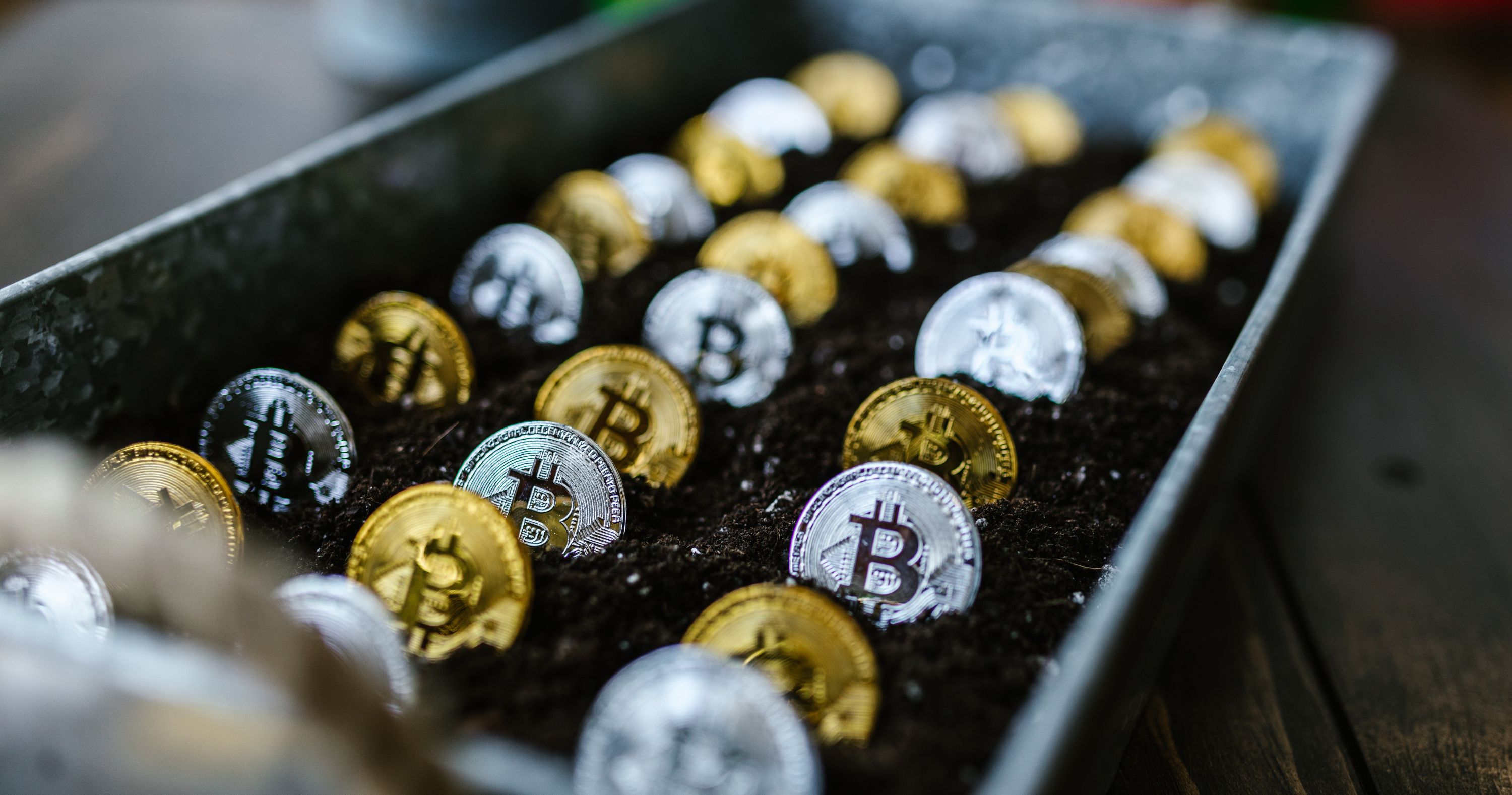 bitcoin gold and silver coins in soil 