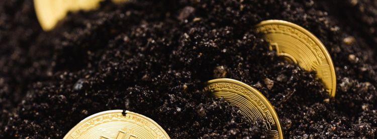 crypto coins partially buried into sand