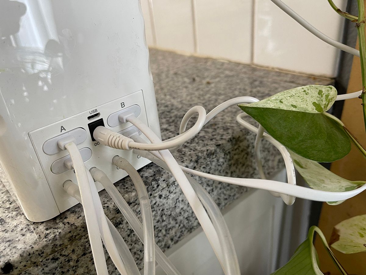 GrowCube Keeps Your Plants Watered Whether You’re Home or on Vacation