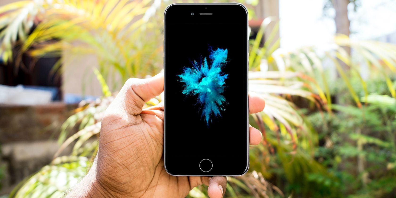iPhone SE with tropical background