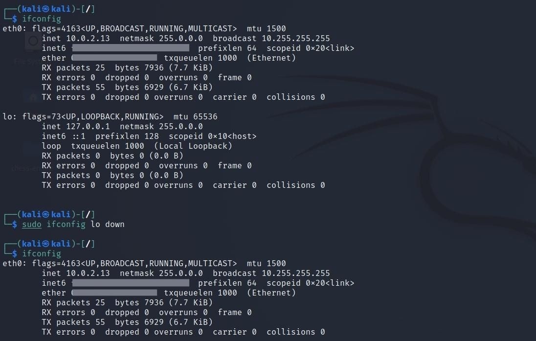 ifconfig-down-parameter-use