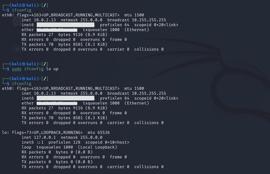 ifconfig-up-parameter-use