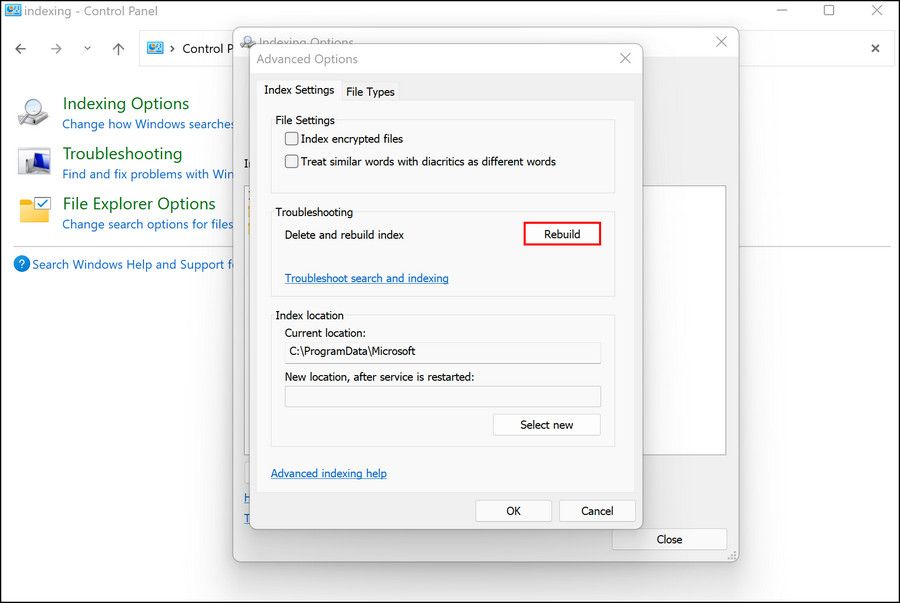 indexing-options-advanced-rebuild