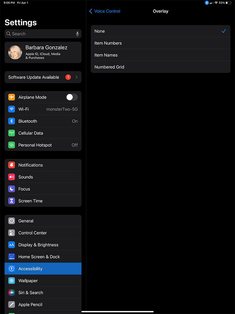 تنظیمات روکش کنترل صوتی iPad
