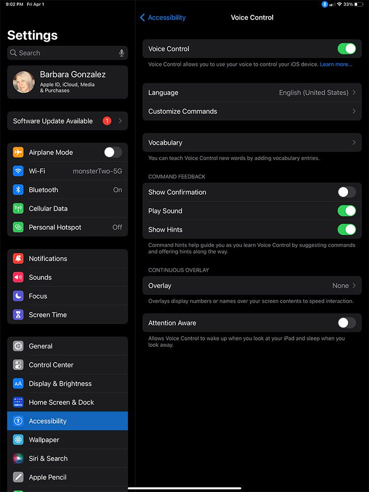 تنظیمات کنترل صوتی iPad