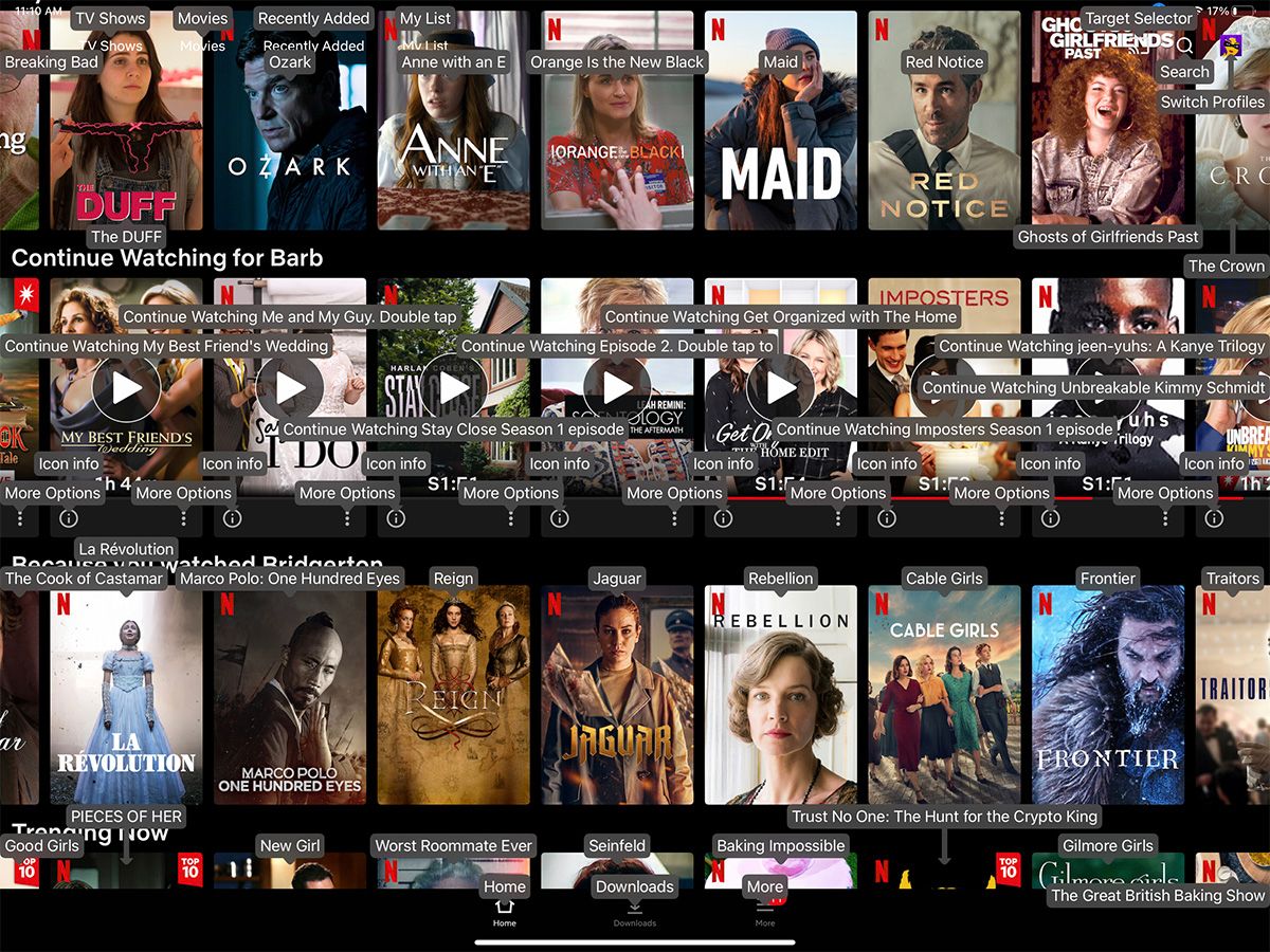 نام آیتم های Netflix کنترل صوتی iPad
