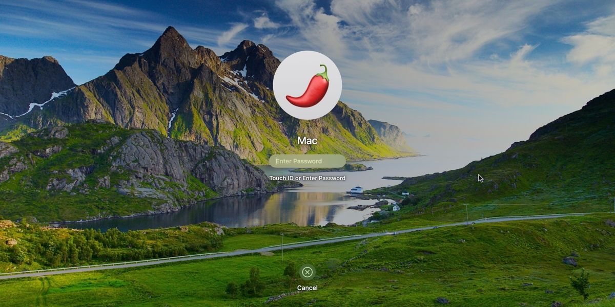Mac login screen with enter password