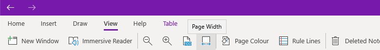 onenote view zoom tools