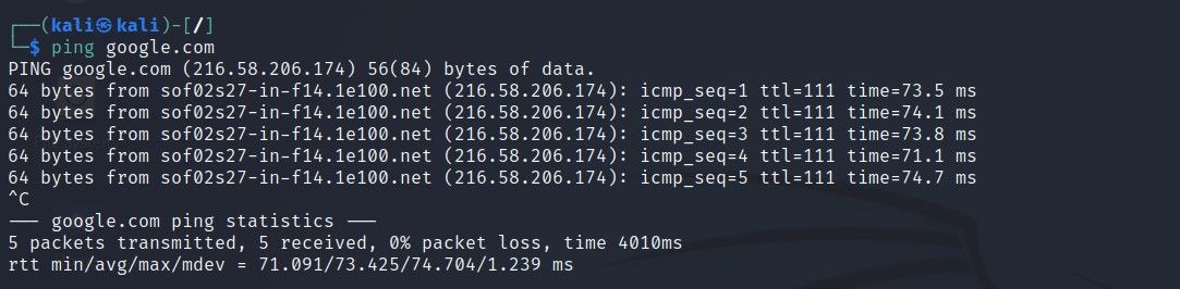 ping-command-use