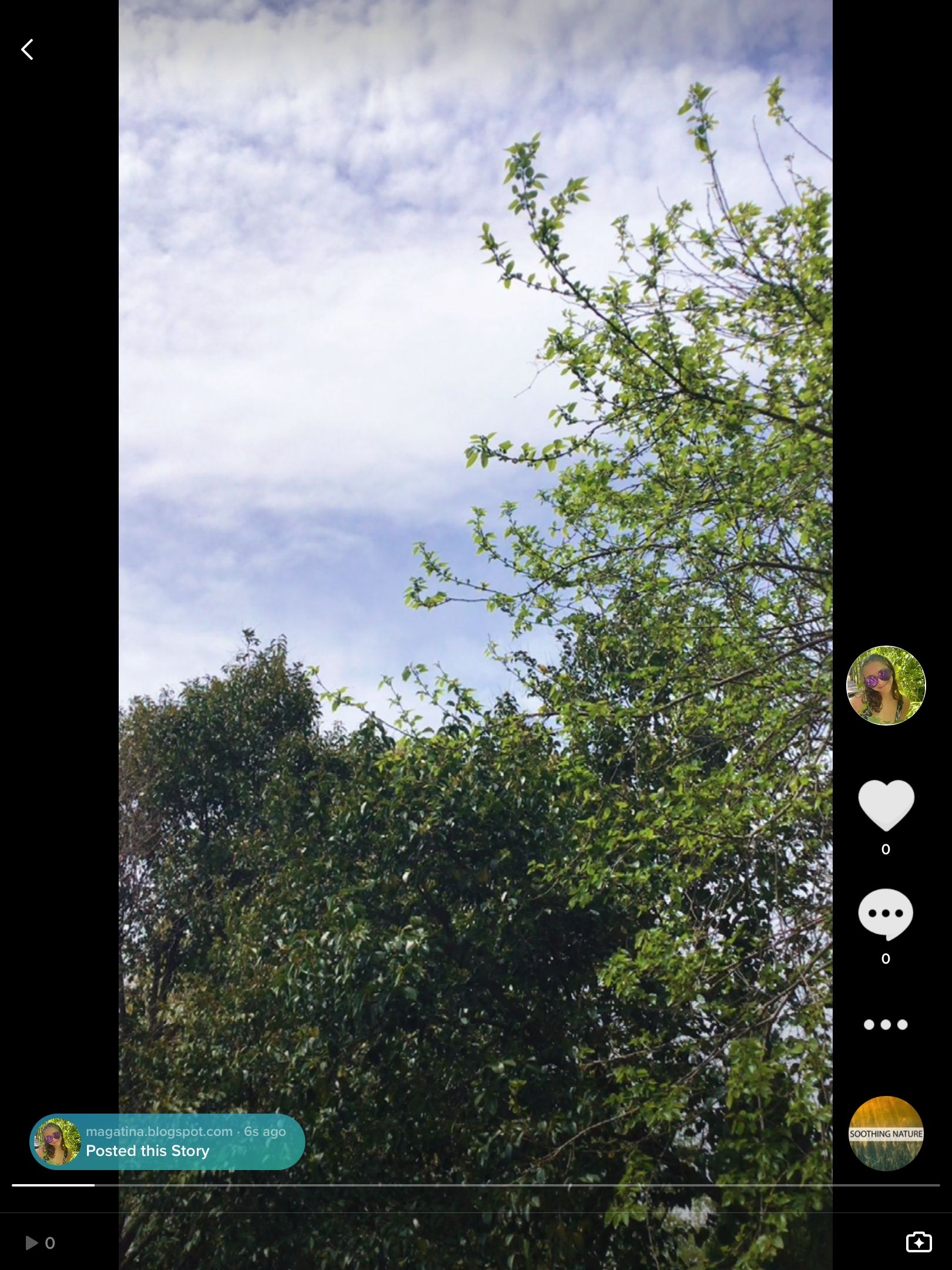 A TikTok Story picture of trees and some sky