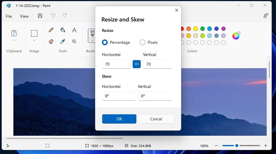 The Resize and Skew window 